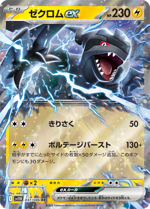 Zekrom ex